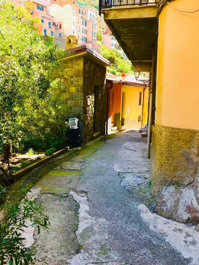 Willa La Chiocciola Manarola Zewnętrze zdjęcie